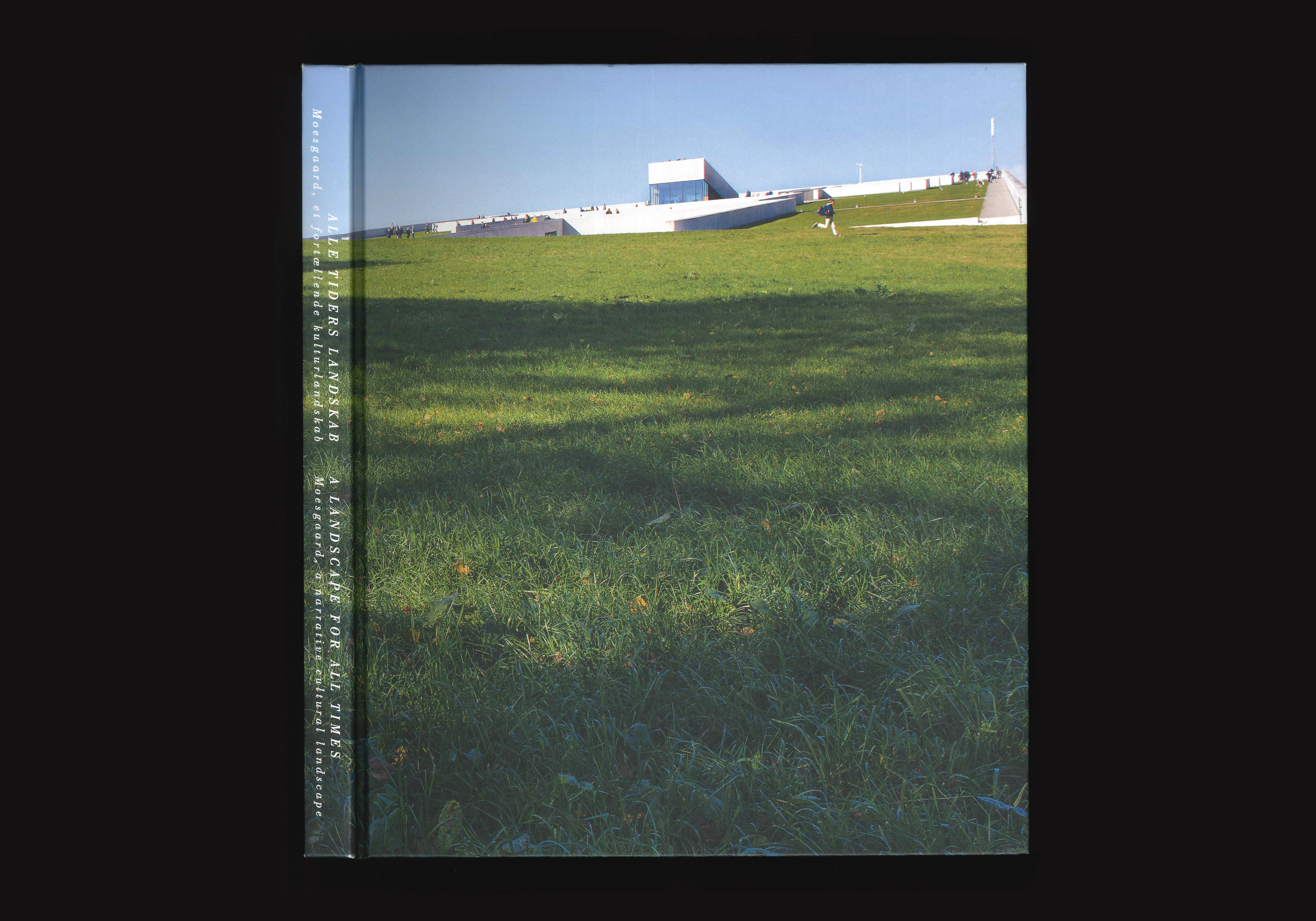 A Landscape for all Times, image 1